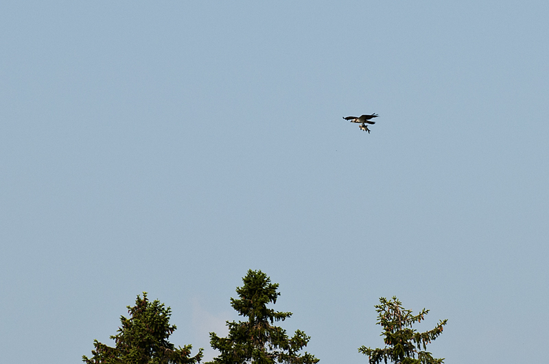 Kalasaaksi4 800px.jpg - Kalas��ksen ev��t, kalasta riit�� koko perheelle!